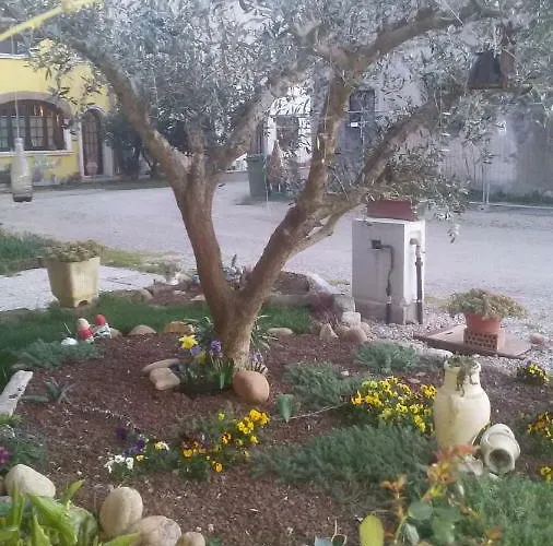 Peschi In Fiore *