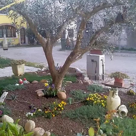 Peschi In Fiore * וליג'יו סול מיניציו