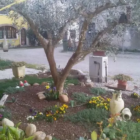 Peschi In Fiore *