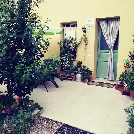 Peschi In Fiore